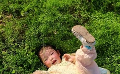 午夜成年男人免费网站